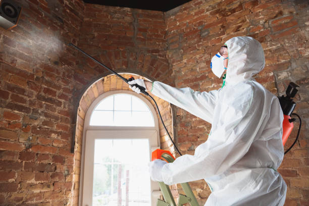 Best Forensic Mold Investigation in Granite Bay, CA