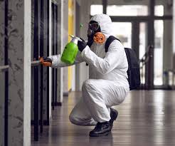 Professional Mold Removal in Granite Bay, CA